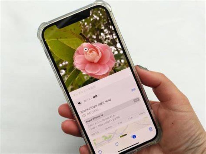 ママは素人だったの意味を検索するイメージ