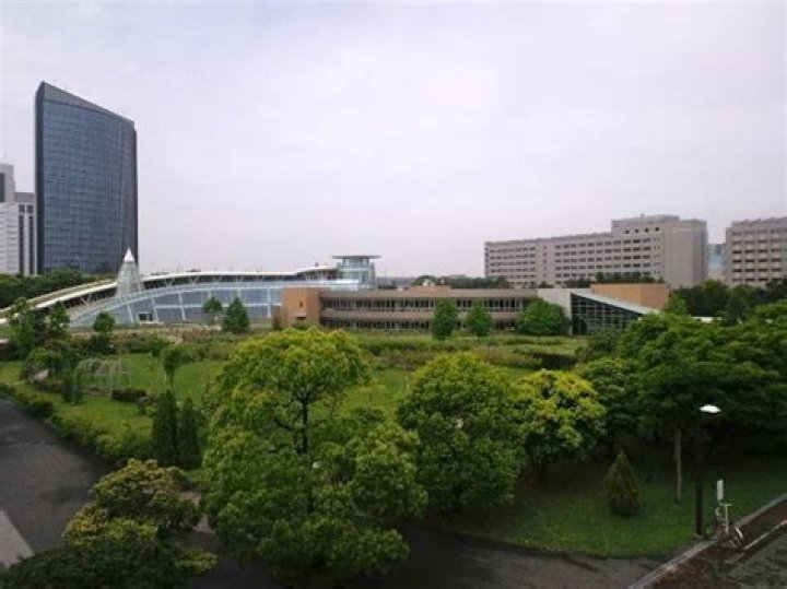 神田外語大学の偏差値は？河合塾・共テ得点率から“目安”を読み解く