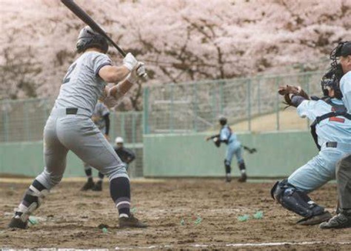 新-青森県高校野球ファン掲示板の使い方と観戦マナー完全ガイド