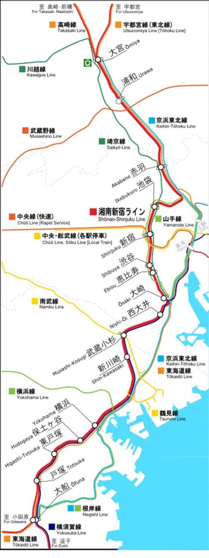 湘南新宿ライン 路線図を徹底解説：停車駅・行き先・見方のコツ